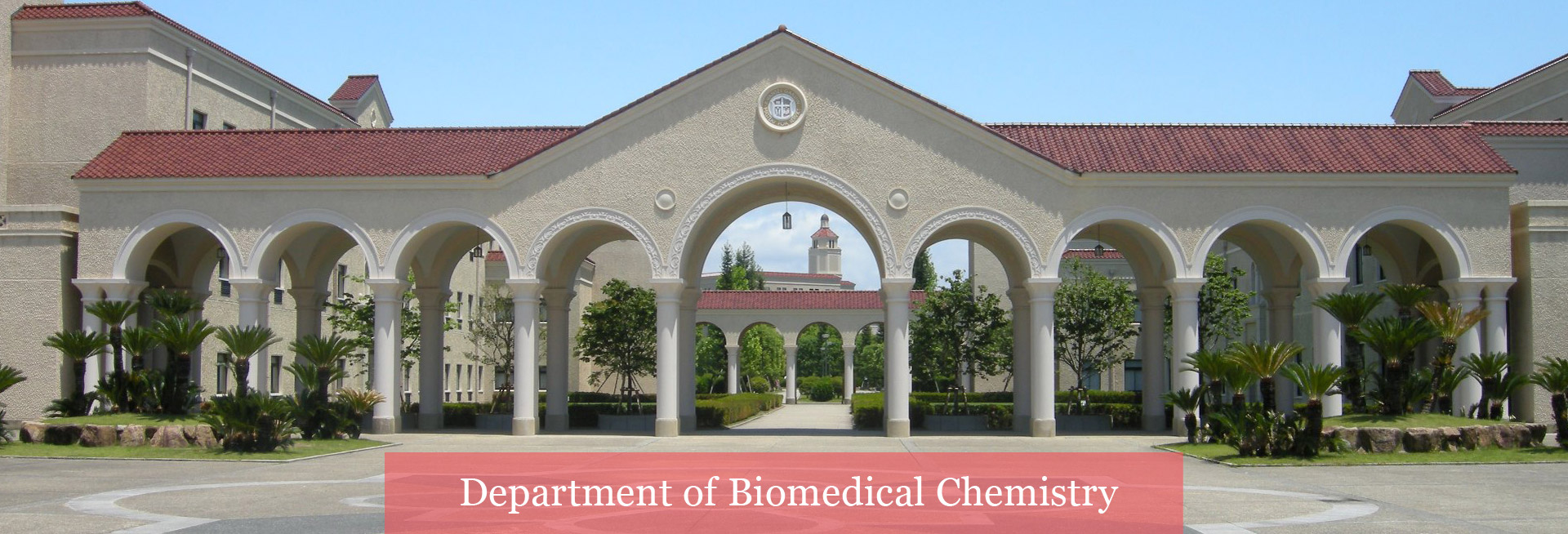 Department of Biomedical Chemistry