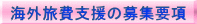海外旅費支援の募集要項 