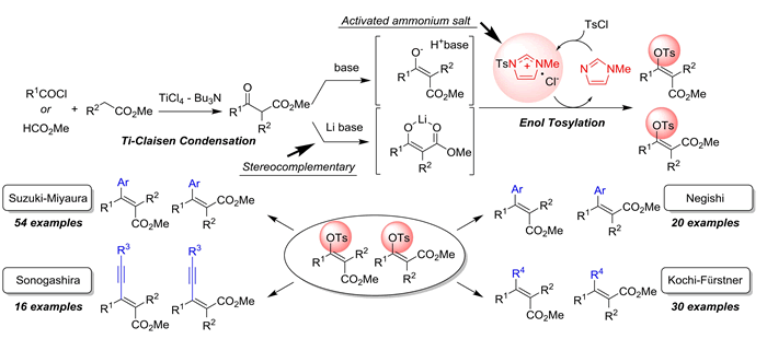 多置換 α,β-不飽和エステルの立体補完的合成法