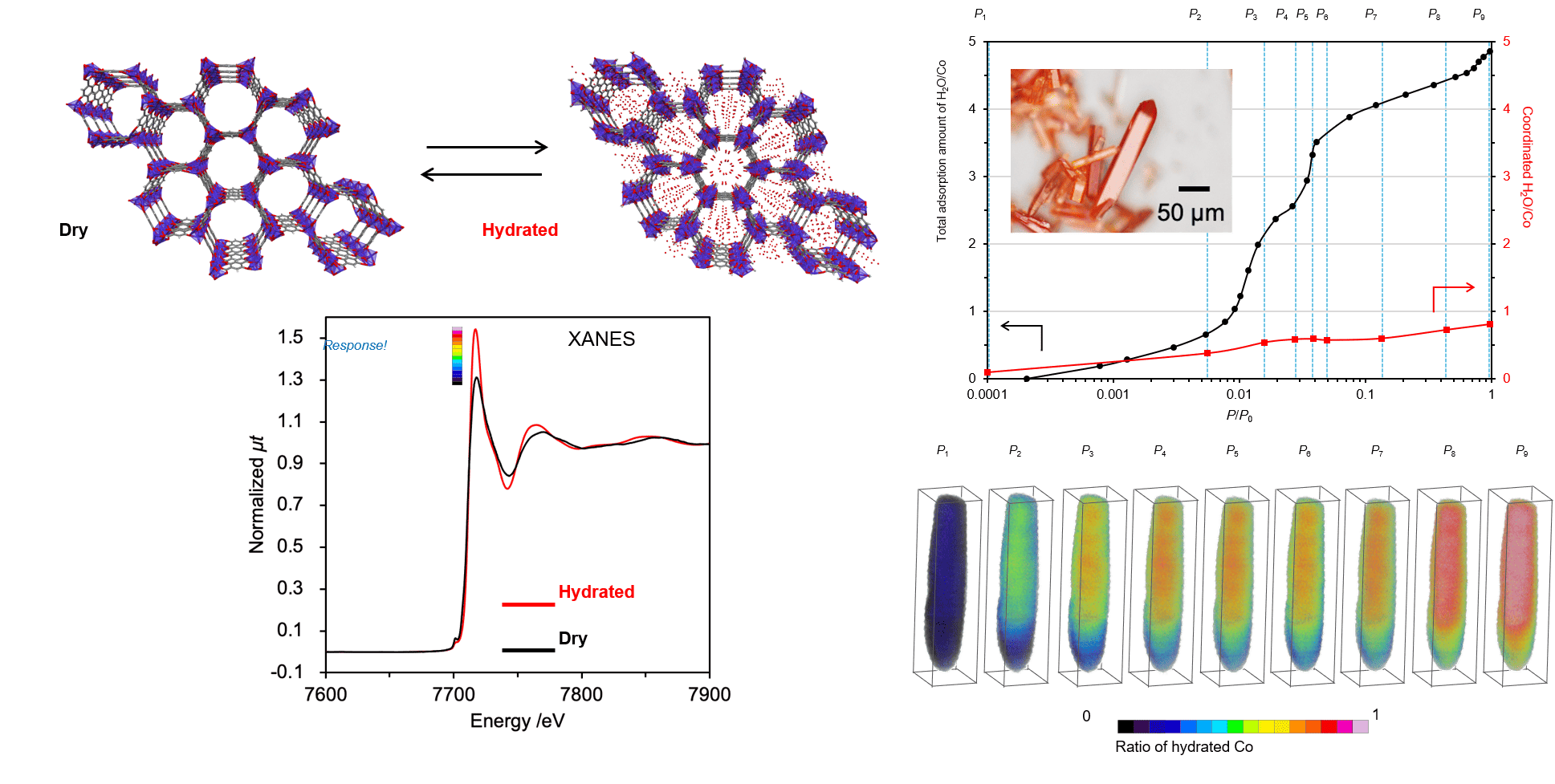 image08.png