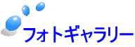 フォトギャラリー 