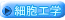זEHw 