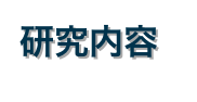 研究内容