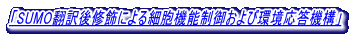 uSUMO|CɂזE@\䂨ъ@\v 