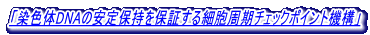 uFDNÄێۏ؂זE`FbN|Cg@\v 